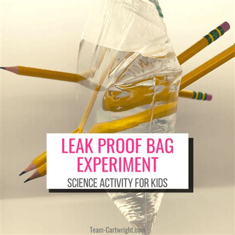 leak proof bag experiment|Leakproof Bag Experiment